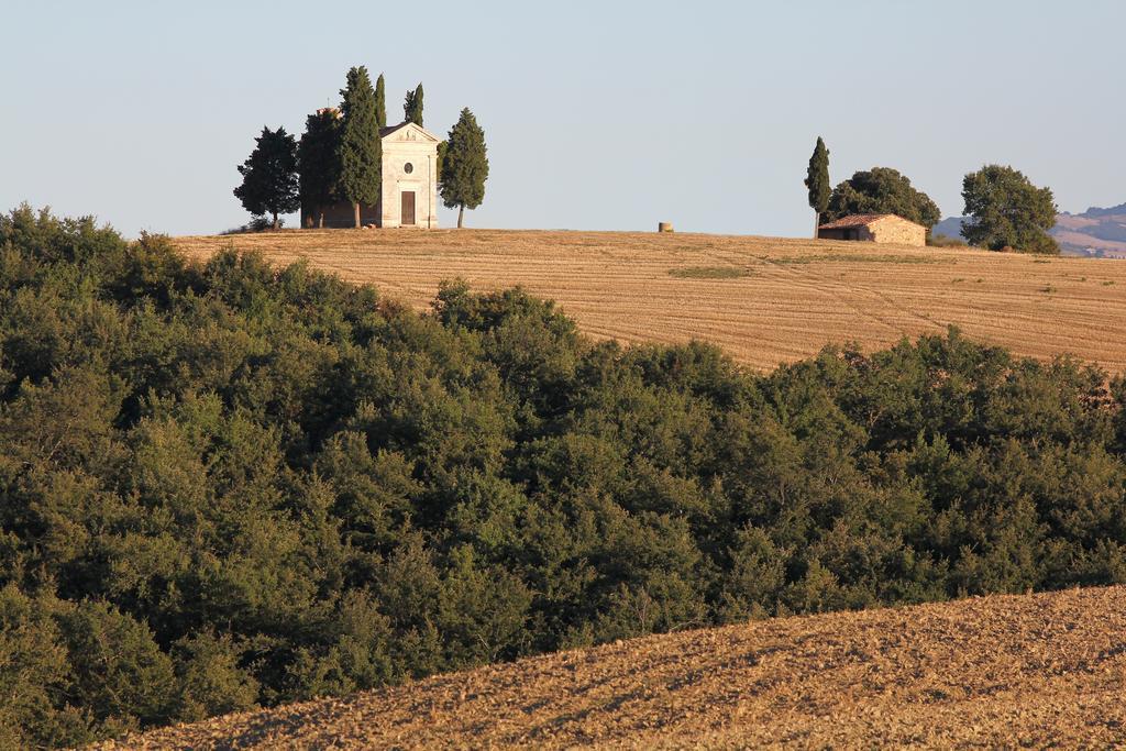 La Terrazza Sulla Val D'Orcia Apartment Castiglione d'Orcia Exterior photo